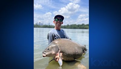 Record-setting 71-pound fish caught in Lady Bird Lake