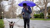 Weather updates: Rain and high winds hit Northern California but storm is ‘still picking up’