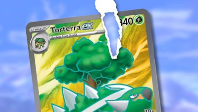 Pokemon TCG players slam hilarious “not mint” listing - Dexerto