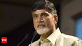 Andhra Pradesh receives substantial support in Union Budget 2024-25, says chief minister Chandrababu Naidu | Visakhapatnam News - Times of India