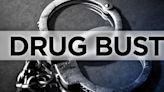 One arrested in Summerville drug bust