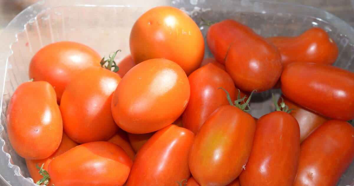 Monty Don shares banana tip to ‘ripen’ green tomatoes and turn fruit ‘red’