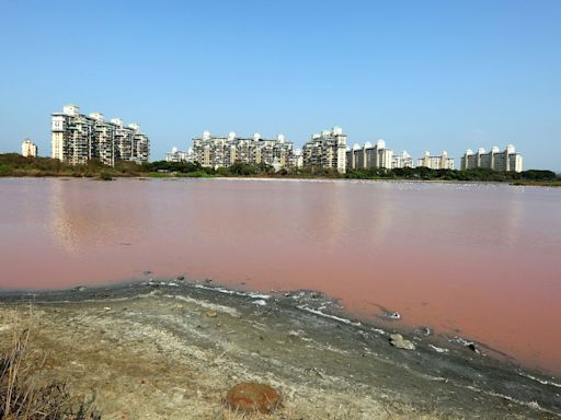Even as rainfall increases water level at Maharashtra lakes, Mumbai civic body says 10% supply cut is here to stay