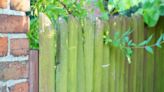 Green fence stains vanish with brilliant item - not vinegar nor pressure washer