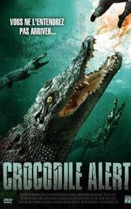 Crocodile Alert