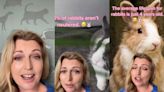 TikTok vet highlights plight of pet rabbits in the UK