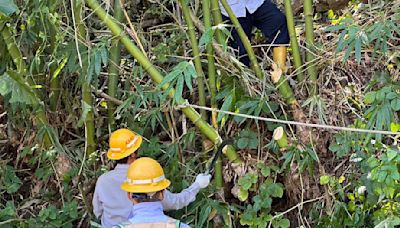 台電南部4區處總動員聯合搶修 力拼那瑪夏復電 | 蕃新聞