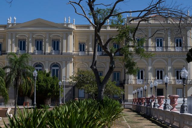 A Major Donation of Fossils Will Help Rebuild the National Museum of Brazil