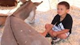 Great American Petting Farm touring in West Virginia