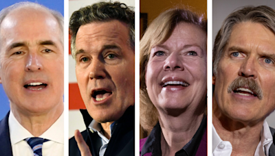 Democratic Senate incumbents leading in 2 swing states: Polling