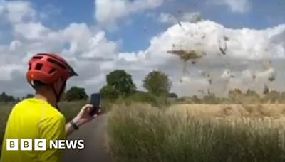 'Hay devil' caught on camera in Minchinhampton