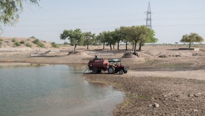 India’s Dry Start to Monsoon Raises Concerns Over Crop Outlook