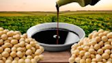 17 Facts You Need To Know About Soy Sauce