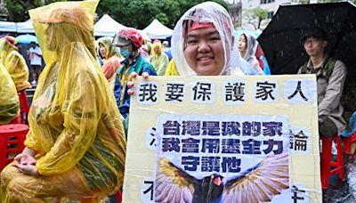 國會改革 專家：阻中共滲透 更多台灣人覺醒