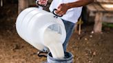Raw milk's popularity is surging. Here's why experts say that's dangerous.