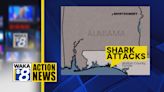 Three hurt, including two Alabama teenagers, in two shark attacks near Destin, Florida - WAKA 8