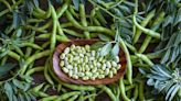 How Exactly Are Butter Beans Different from Lima Beans?