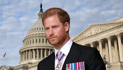 Prince Harry May Bring Major Project to D.C.