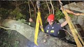 Woman trapped in bed after tree crashes through cabin with young campers