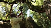 New documentary film explores Gullah-Geechee people's symbiotic relationship with the land