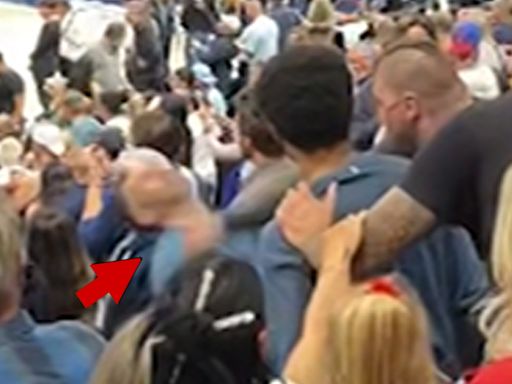 Nikola Jokic's Brother Punches Fan In Heated Altercation, NBA Investigating