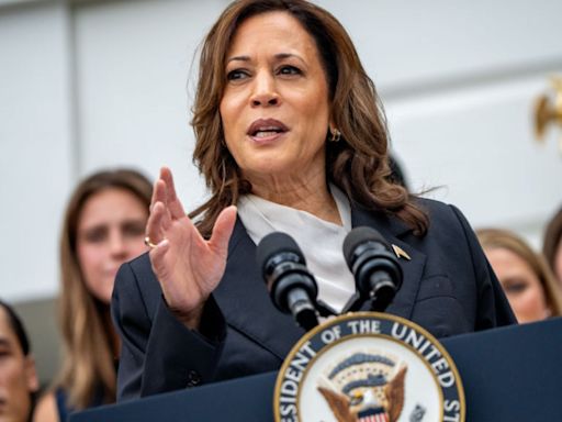 ¿Quién será la fórmula vicepresidencial de Kamala Harris? Analizamos las opciones de la demócrata