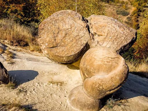 Mysterious living stones that grow, move, and reproduce | - Times of India