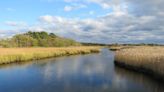 From marsh views to a forgotten state park: Our favorite hiking trails in Harwich