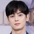 Cha Eun-woo