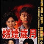 【樂天】.港經典 燃燒歲月 劉青云、羅慧娟 國粵雙語雙碟DVD 盒裝