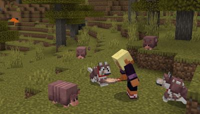 Surprise! Minecraft gives Armadillos AND new Wolves to everyone with latest update, available NOW