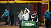 ‘Thank you bee guy’: How the Diamondbacks handled swarm at Chase Field