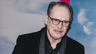 Steve Buscemi's Alleged NYC Attacker Arrested