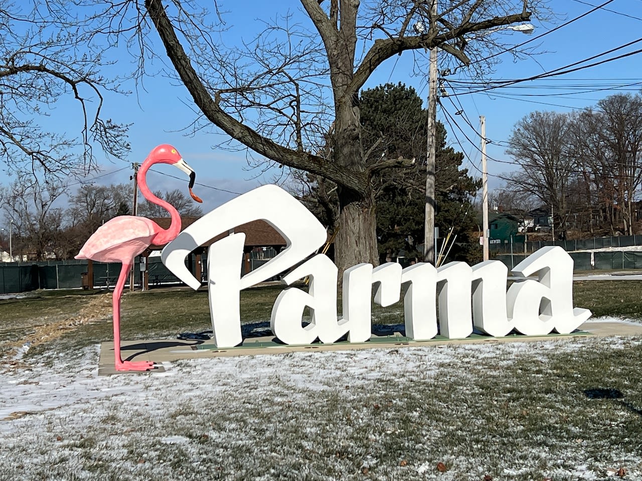 Fowl play: Giant pink flamingo torn from perch near Parma script sign, police searching for culprits