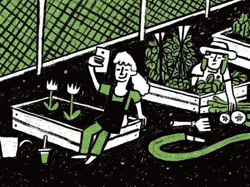 Opinion: With a focus on picture-perfect aesthetics, my community garden has become gentrified