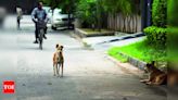 No Rules for Pets Outside Corporation Limits | Chennai News - Times of India