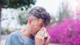 How to prepare for seasonal allergies as hay fever to reach 'all time high'