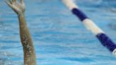 HIGH SCHOOL ROUNDUP: Duxbury wins Patriot League girls, boys swimming and diving titles