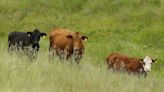 We need to listen to Texas farmers and act | Opinion