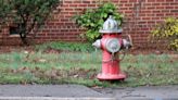 Columbia fire hydrants weren’t working when fire destroyed apartment complex, lawsuit alleges