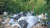 Fly-tipping of household waste blights Peterborough village