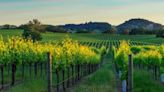 Duckhorn Wine Portfolio Acquires Sonoma-Cutrer Vineyards