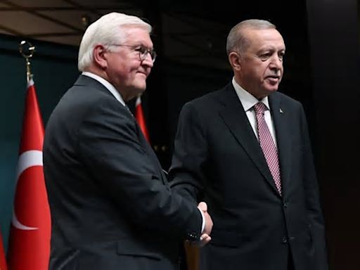 Steinmeier nennt Erdogan „werten Freund“ – Experte fassungslos