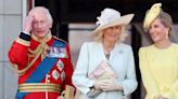 Sophie, Duchess of Edinburgh, Wore a Sunny Yellow Dress for Trooping the Colour