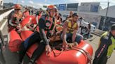 'Caramelo,' the Brazilian horse stranded on a roof by floods, is rescued after stirring the nation