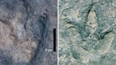 Matching sets of dinosaur footprints found on opposite sides of the Atlantic Ocean