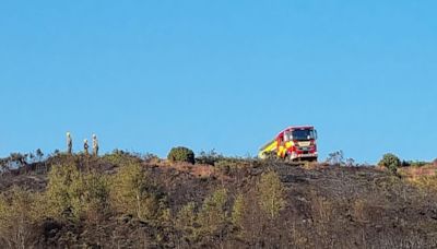 50 firefighters called to tackle a large heath fire in Dorset