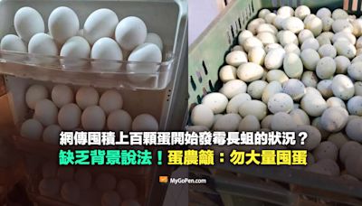 【查證】網傳囤積上百顆蛋已開始發霉腐爛長蛆？蛋商、蛋農籲：勿大量囤蛋