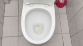 Cleaning expert's 3 cheap and ‘remarkably effective’ methods to unblock toilets