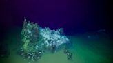 Seafloor life devastated near explosive volcanic eruption in Pacific, research shows